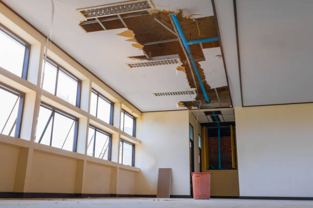 Best Residential water damage restoration  in Snow Hill, NC