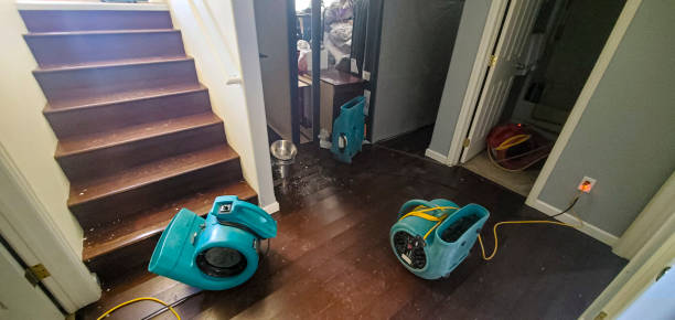  Snow Hill, NC Water damage restoration Pros