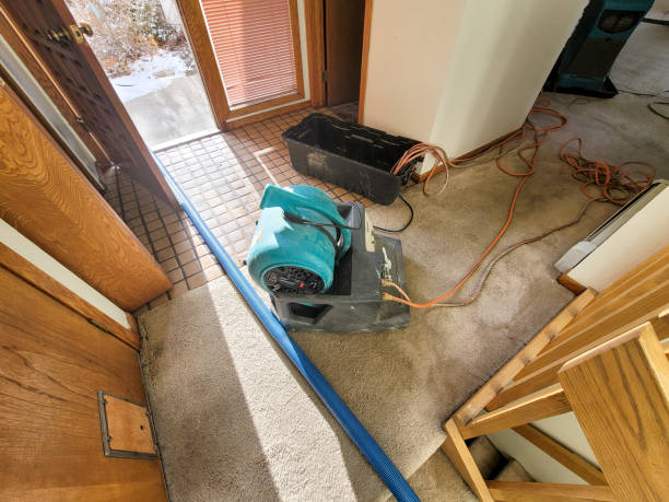 Best Professional water damage repair  in Snow Hill, NC