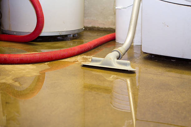 Best 24/7 water damage repair  in Snow Hill, NC