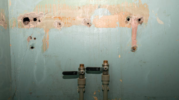 Best Sewage cleanup and water damage restoration  in Snow Hill, NC